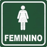 Feminino 